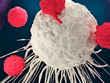 В Новосибирской области показатель смертности от рака снизился на 45%