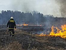В 2021 году леса Земли сгорали  со скоростью 16 футбольных полей в минуту