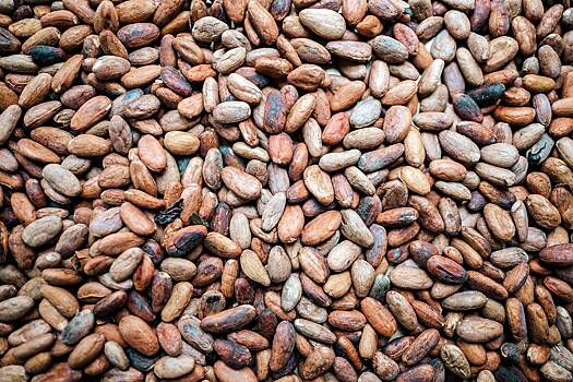 Мосбиржа предложила трейдерам зарабатывать на бобах