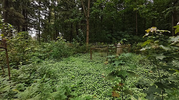 На содержание ижевских кладбищ в 2026 году выделили 25 млн рублей