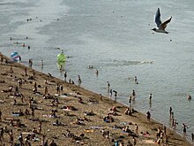 Названы безопасные для купания и отдыха пляжи Москвы