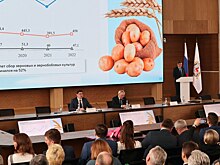 Итоги работы АПК за 2022 год подвели на коллегии минсельхоза Нижегородской области