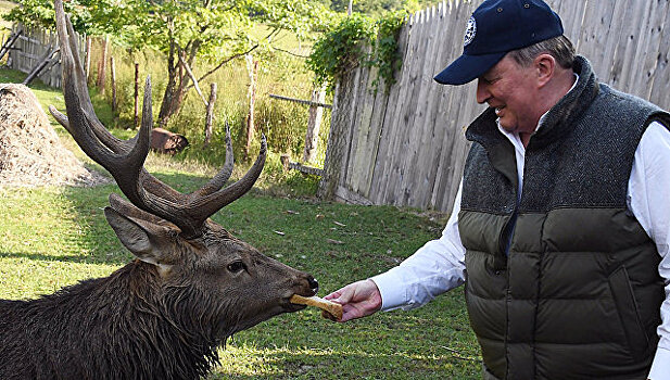 Спецпредставитель президента Иванов покормил пятнистого оленя в Приморье