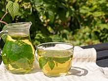 Подборка рецептов, освежающих в жару