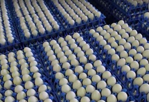 Американские власти отзывают из магазинов 200 млн яиц из-за сальмонеллы