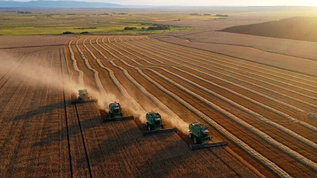 К 2025 году в Красноярском крае построят завод по переработке зерна в биопластик