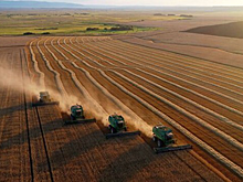 К 2025 году в Красноярском крае построят завод по переработке зерна в биопластик