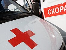 Сбитый на зебре в Москве ребенок умер в больнице