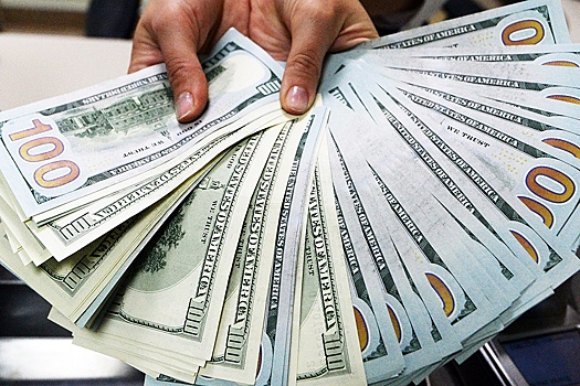 Доцент Белянчикова посоветовала гражданам РФ не менять старые доллары