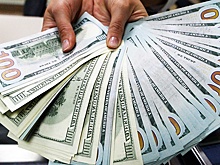 Доцент Белянчикова посоветовала гражданам РФ не менять старые доллары