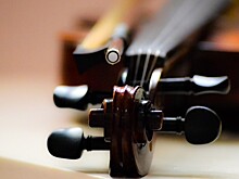 Нижегородский музей получит скрипку XIX века, конфискованную на границе