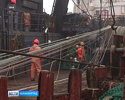 Российские предприятия рыбохозяйственной отрасли ждут курсантов и студентов из Калининградской области