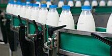 Главный диетолог Минздрава рассказал о норме потребления молочных продуктов
