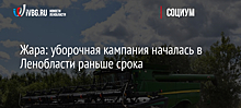 Жара: уборочная кампания началась в Ленобласти раньше срока