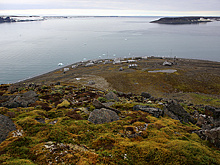 Постройки полярной станции впервые в истории отреставрируют и превратят в музей