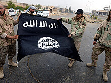 Поражение ИГ* означает крах региональной политики США, заявили в Иране