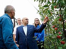 Производство плодово-ягодной продукции в России в 2020 году составит порядка 1 млн тонн
