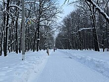 Пензенцев призвали в холода беречь пальцы, лицо и уши