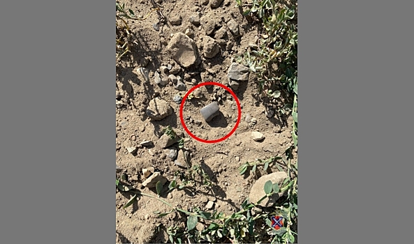 Под Волгоградом задержали троих закладчиков наркотиков