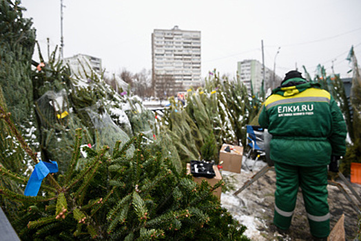 Количество нарушений на елочных базарах Москвы снизилось в два раза в 2020 г