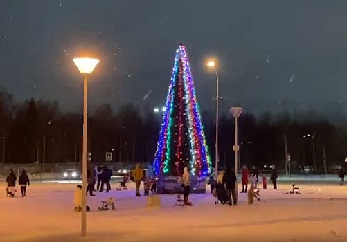 Владимир Любарский рассказал, как украсят Петрозаводск к Новому году