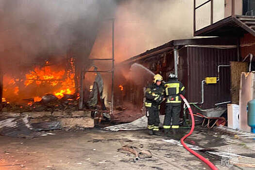 МЧС: к тушению пожара в подмосковном Картино привлекли свыше 20 человек