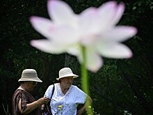 Как неприметное озеро превратилось в одно из самых красивых и популярных мест России