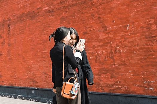 В Минэкономразвития назвали количество электронных виз, оформленных китайцами за полгода