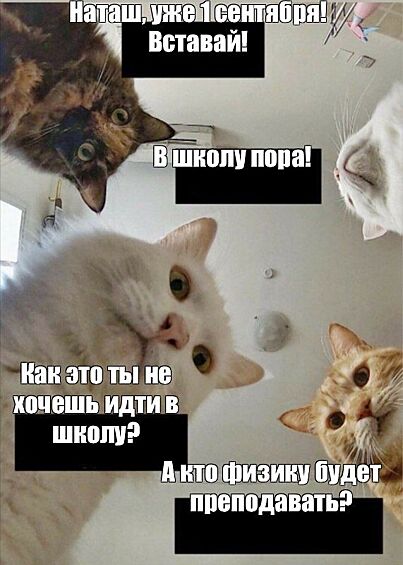 Не Наташ, а Наталья Владимировна!