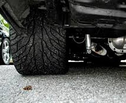 Как ширина шины, толщина ее бортов и рисунок протектора влияют на управляемость и экономичность