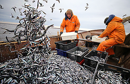 Рыбный промысел может подорожать на 40% из-за топливных пошлин