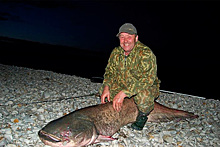 Российские рыбаки поймали 2,5-метрового сома весом 104 килограмма