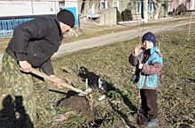 В ставропольском селе активисты высадили берёзовую рощу