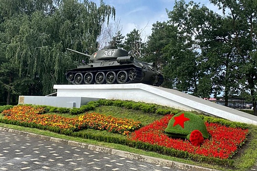 Ставрополь ко Дню Победы украсили уникальными цветниками