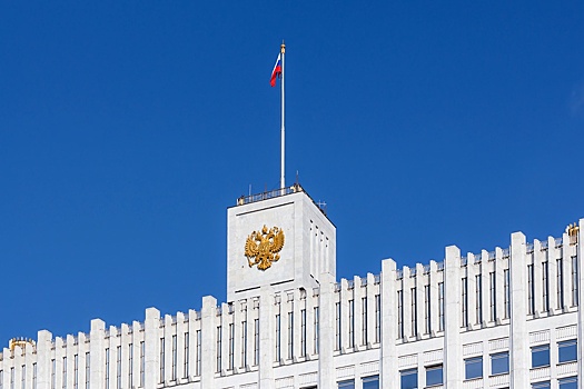 Правительство одобрило введение наказания для иностранцев за русофобию