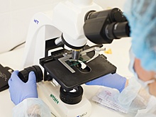 В прошлом году из жизни ушли более 6 тысяч тюменцев