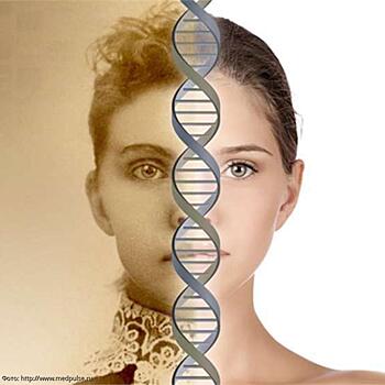 Особенности генетической памяти человека