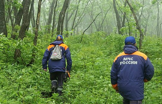 В Зауралье спасатели помогли потерявшемуся в лесу мужчине