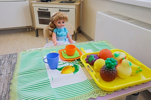 Глава СКР Бастрыкин потребовал разобраться в деле с избиением детей в детсаду Первоуральска