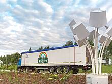 Грибной год