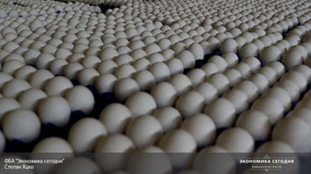 Белые против коричневых: эксперты объяснили, как цвет скорлупы влияет на качество яиц
