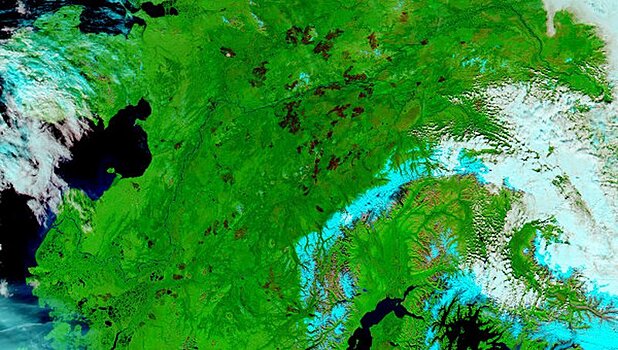 Пожары нанесли в этом году большой ущерб природе Аляски