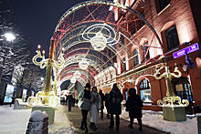 Дети из регионов приедут в Москву на новогодние праздники