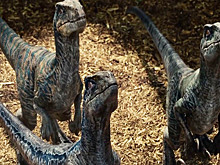 5 абсолютно новых зрелищных фильмов, которые появились в iTunes