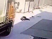 В Забайкальском крае под колесами мусоровоза погиб дворник