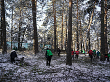 Экоактивист устроил новый скандал из-за борьбы мэрии с кленом-убийцей в кемеровском бору