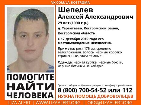 В Костромской области около двух месяцев разыскивают 29-летнего мужчину