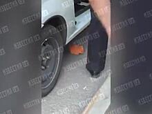 ВИДЕО: Участник драки в Москве схватил кирпич и напал на полицейского