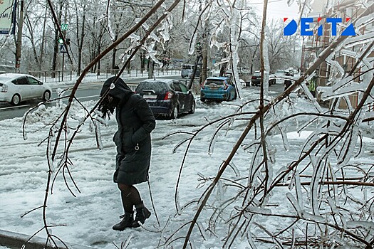 «Будет повторяться всё чаще»: чем грозит россиянам слишком тёплая зима
