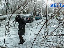 «Будет повторяться всё чаще»: чем грозит россиянам слишком тёплая зима